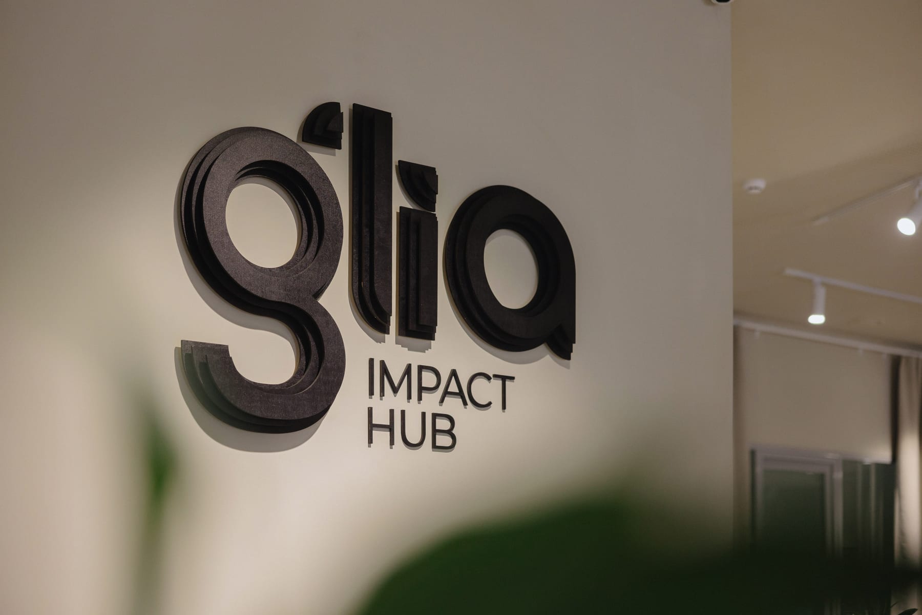 Glia workspace